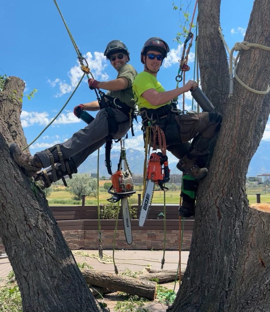 About Advanced Tree Service, Tree Company in Salt Lake City