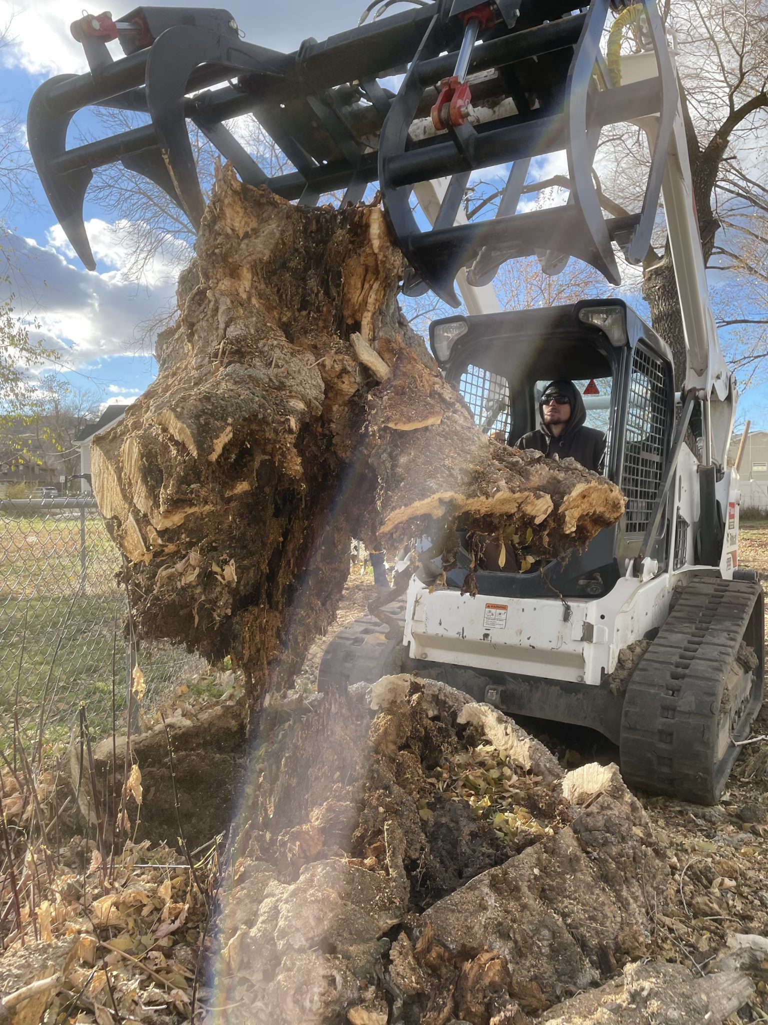 Tree Removal Salt Lake City UT