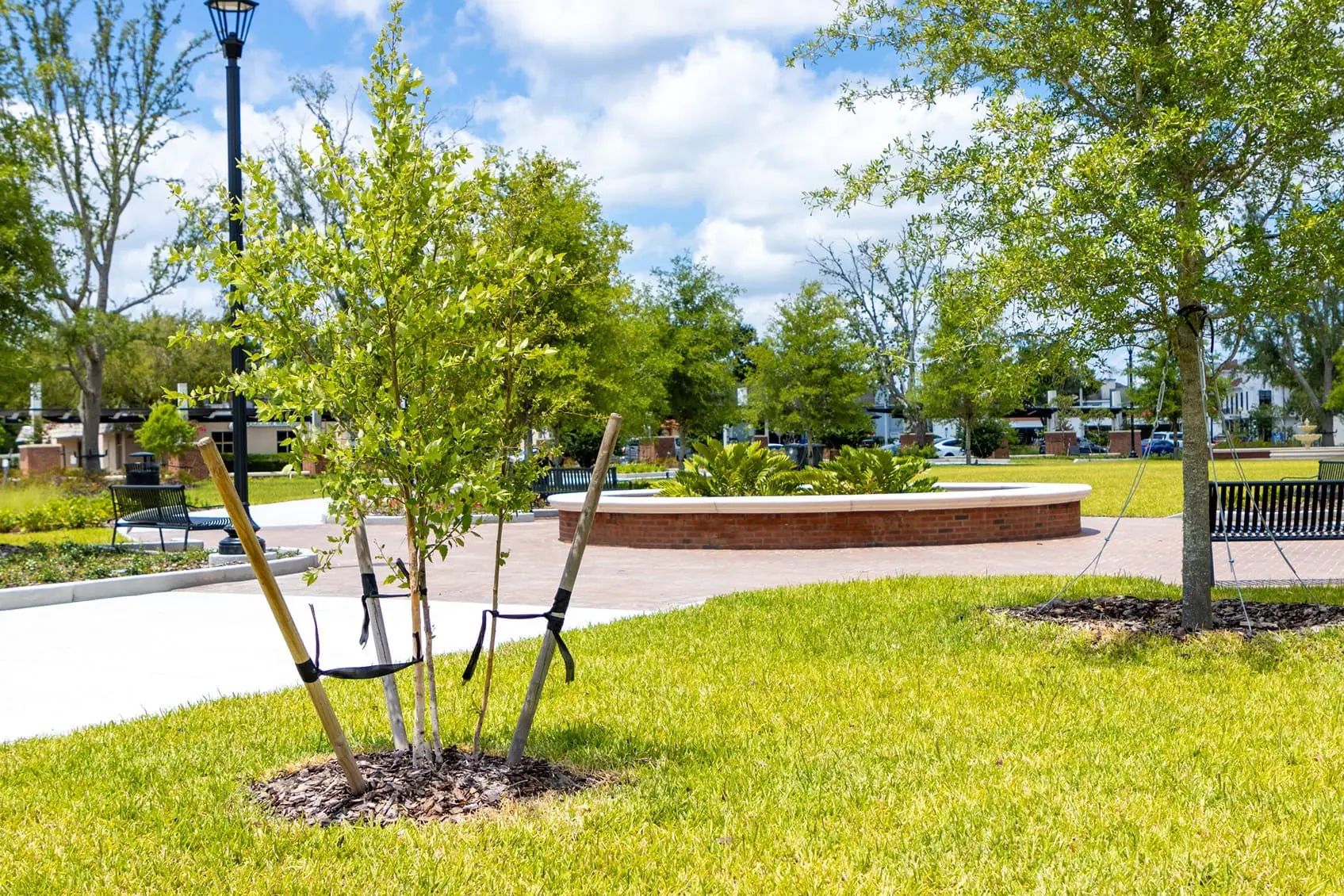 What Is Defensible Space? A Utah Homeowner's Guide | Advanced Tree Service