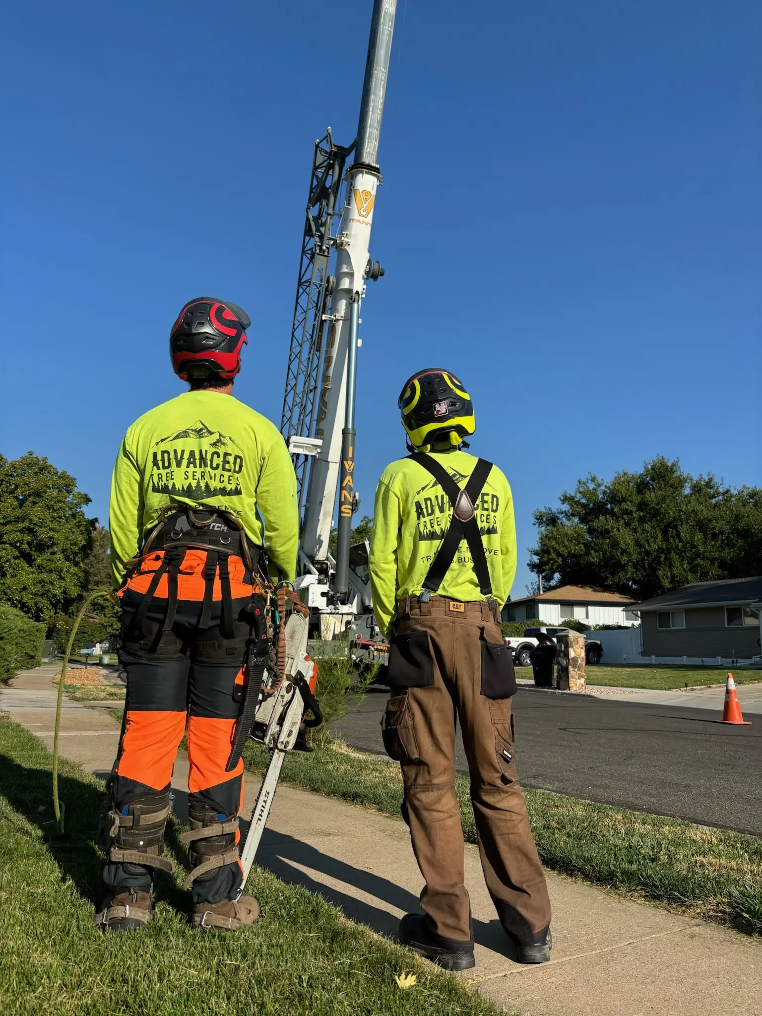 hoa tree management & maintenance plans utah - Advanced Tree Service