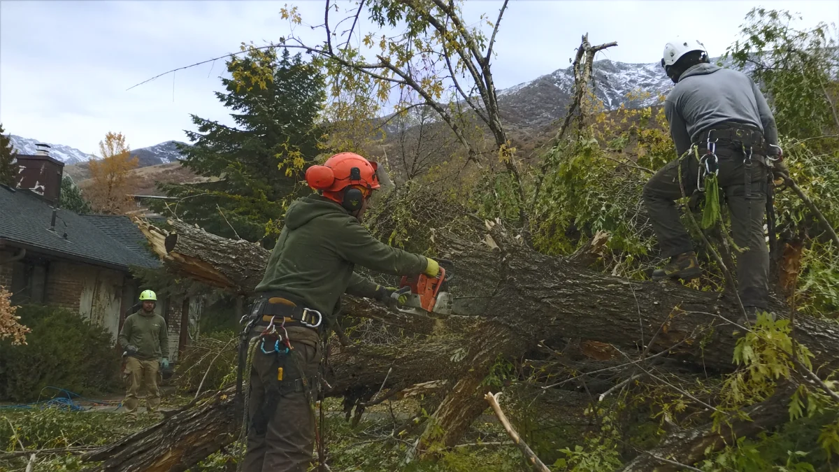 Advanced Tree Service ISA certified arborist crew responding to storm damage emergency tree removal in Utah