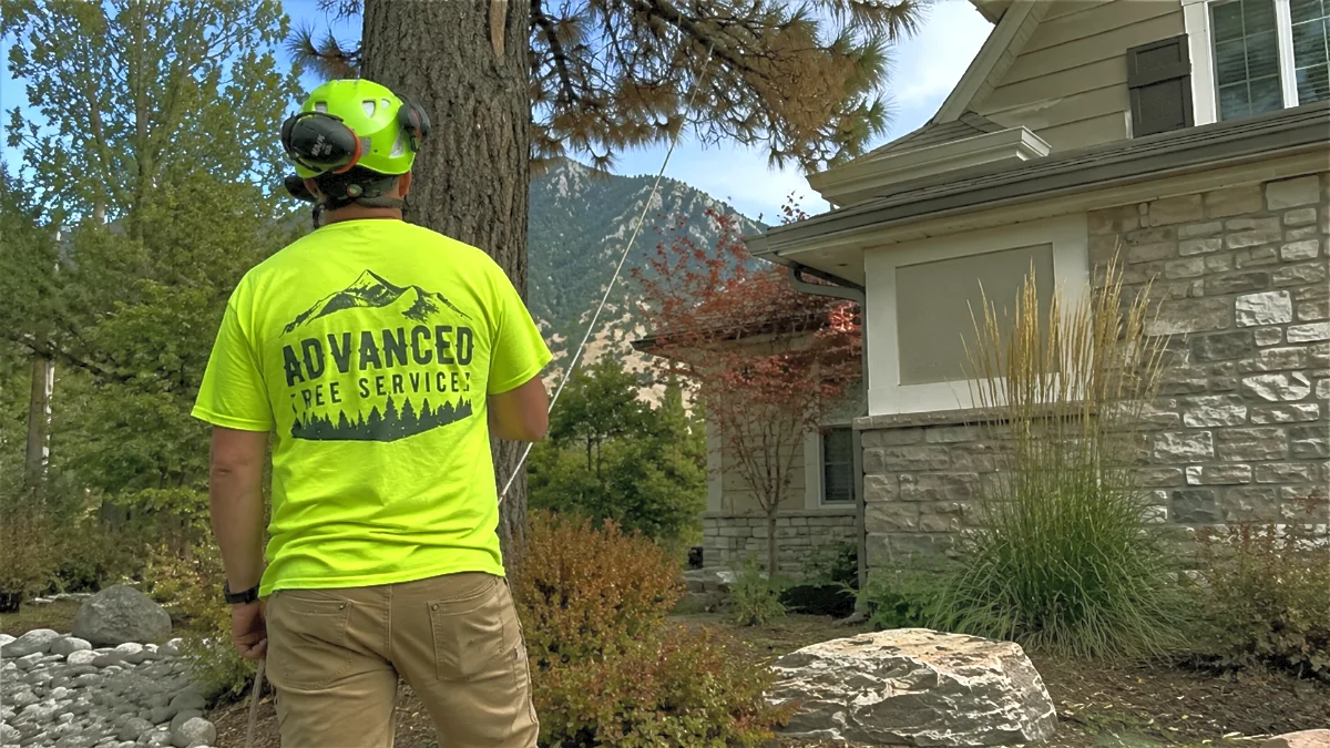 Advanced Tree Service ISA certified arborist assessing tree distance and safety near a home in Utah