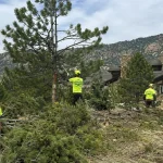 Advanced Tree Service ISA certified arborist crew performing wildfire mitigation and defensible space work in Utah