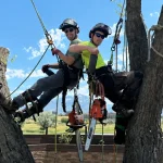 How Much Does an Arborist Cost for a Consultation? | Advanced Tree Service Utah